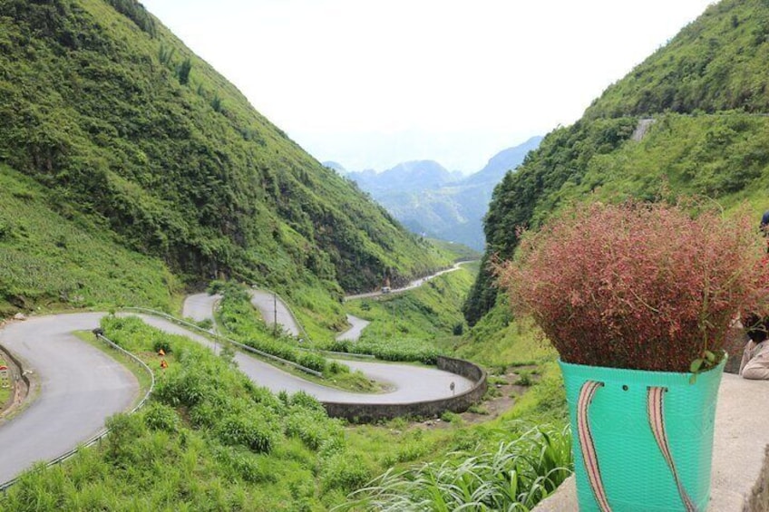 4 Day Tour to Ha Giang Loop from Hanoi
