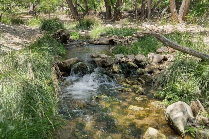 San Vicente Creek offers a serene oasis in Silver City.