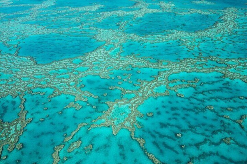 Reef & Whitehaven Spectacular 60 Minute Helicopter Tour