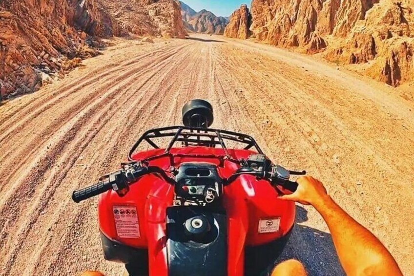 Safari Quad Bike Adventure with Camel Ride in Sharm El Sheikh