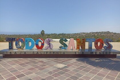 Todos Santos Treasure Hunt