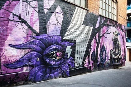 Private Street Art Tour in Melbourne