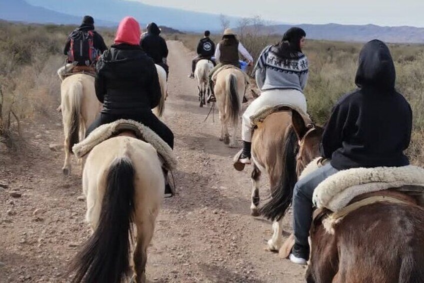 Private Experience Adventure Horseback Ride with Asado in Mendoza