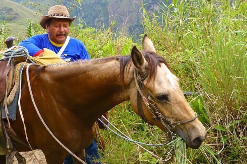 Horseback-Riding Tours in San Agustín