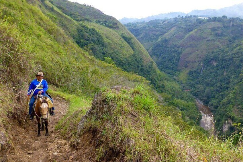 Horseback-Riding Tours in San Agustín