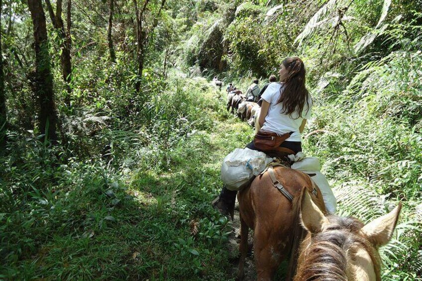 Horseback-Riding Tours in San Agustín