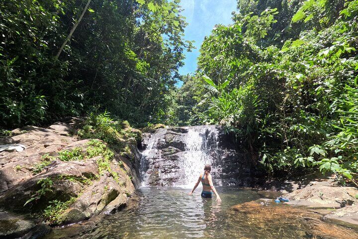 Full Day Waterfalls of Puerto Rico: Central Mountains Escape