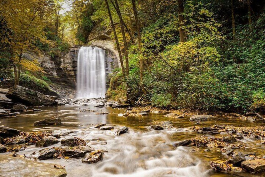 Blue Ridge Parkway Waterfalls: Private Hiking Tour from Asheville
