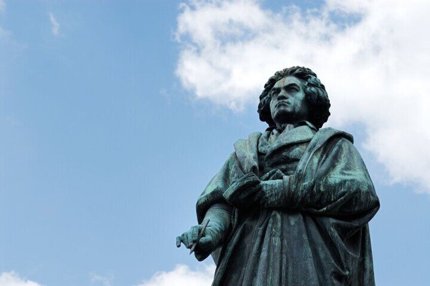 Private Guided Walking Tour in Bonn