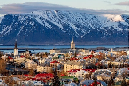 Private Walking Tour with a Local Guide in Reykjavik