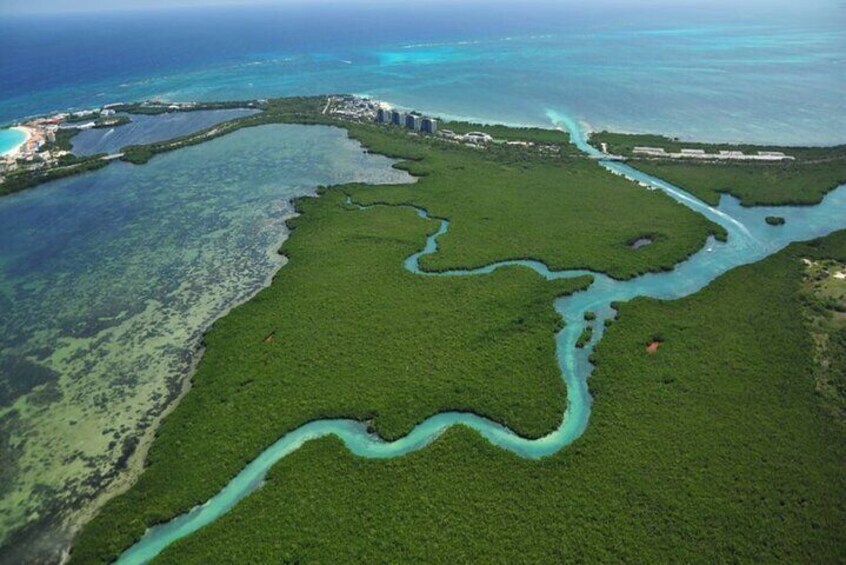 Mangrove Jungle Speedboat Experience