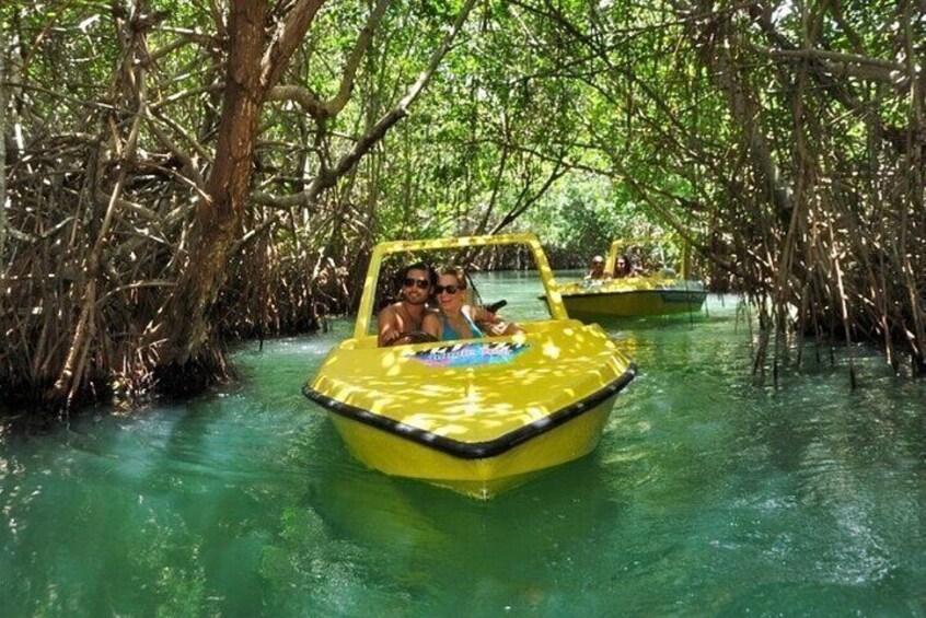 Mangrove Jungle Speedboat Experience