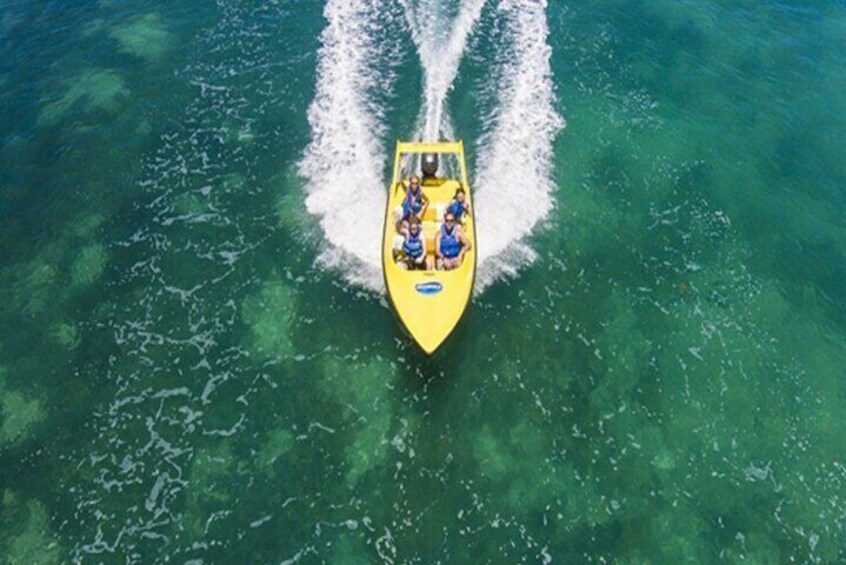 Mangrove Jungle Speedboat Experience