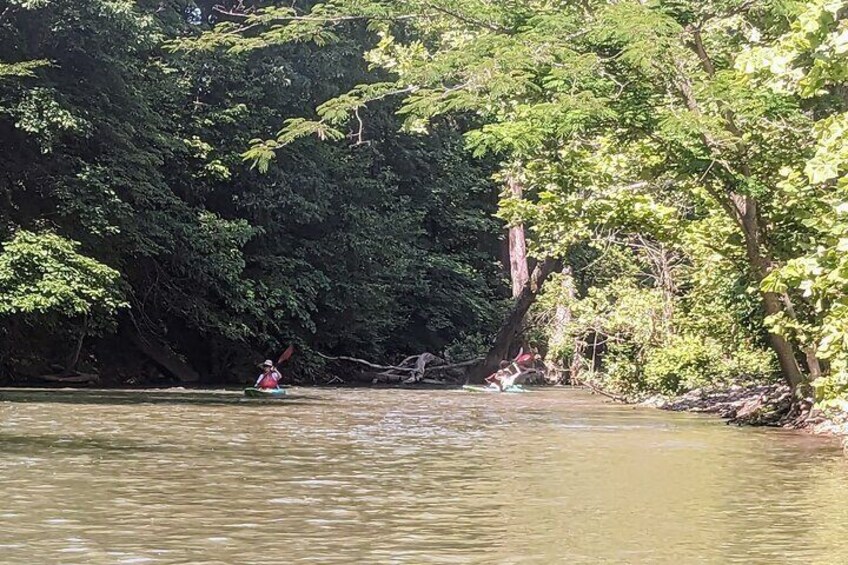 Kayaking on the Roanoke River Virginia