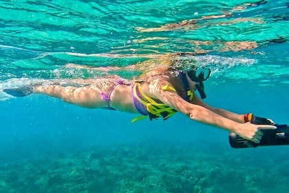 Jet Snorkeling Anfänger Schiffbruch Abenteuer mit Videos