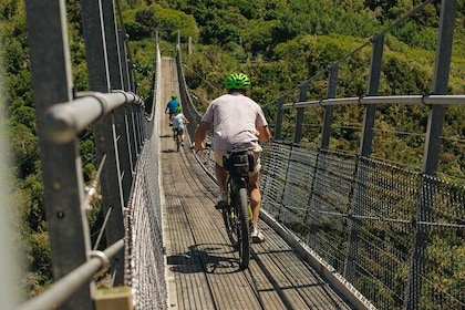 Remutaka Rail Trail eBike Explorer Cycle Tour