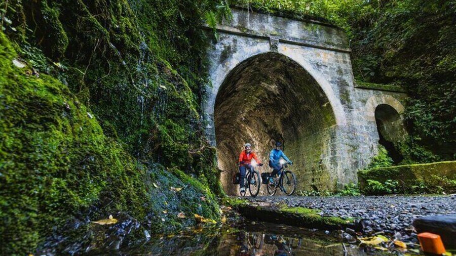 Remutaka Rail Trail eBike Explorer Cycle Tour