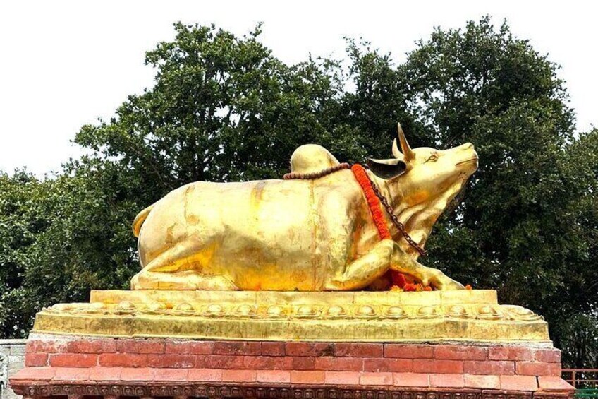 Nandi (Bull) statue