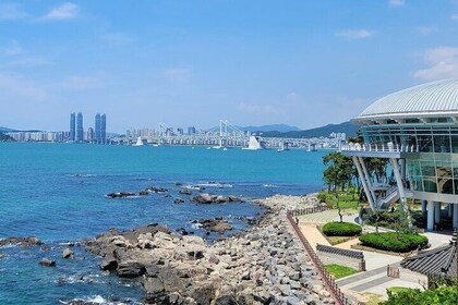 Busan Full-Day Customisable Private Tour in English