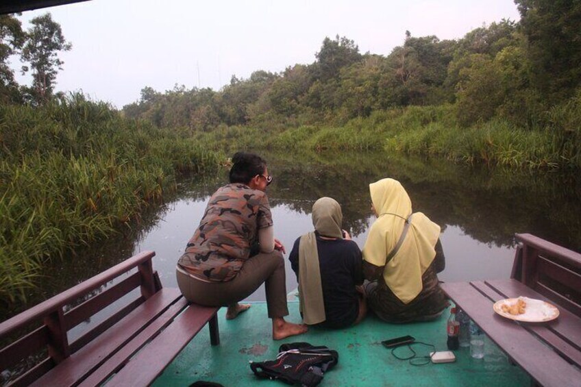 3 Days Share Cost Orangutan Houseboat Tour Tanjung Puting