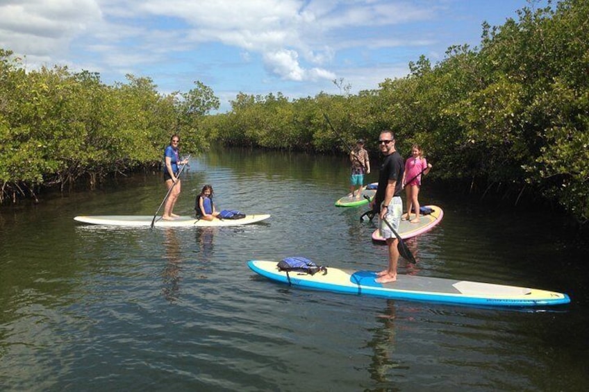 Paddle Boarding Rentals