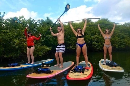 Paddle Boarding Rentals