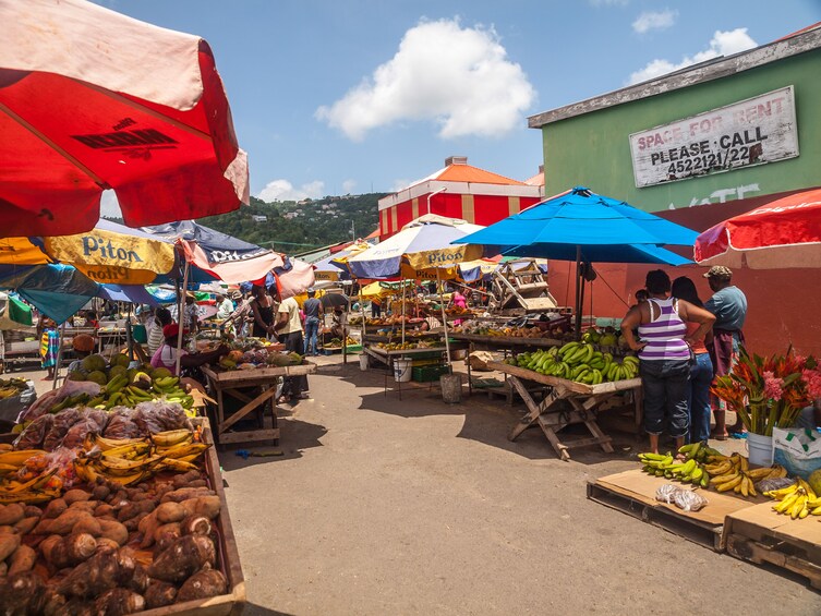 Guided Tour of Castries' Historic Gems