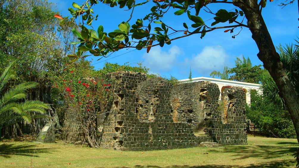 Ruins in St. Lucia