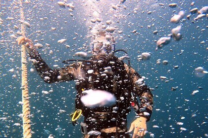 Expérience de plongée sous-marine