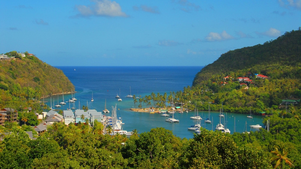 Harbor in St. Lucia