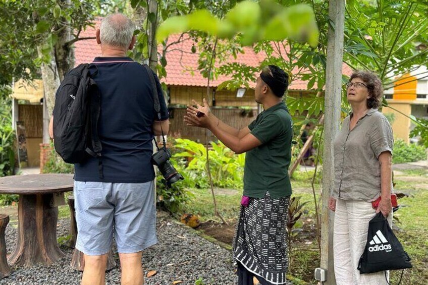 Evening Cooking Class with Romantic Dinner in Ubud