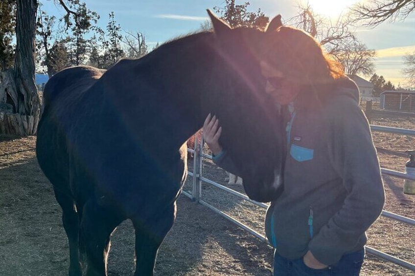 1.5 Hours Private Meditations with the Horses in Oregon