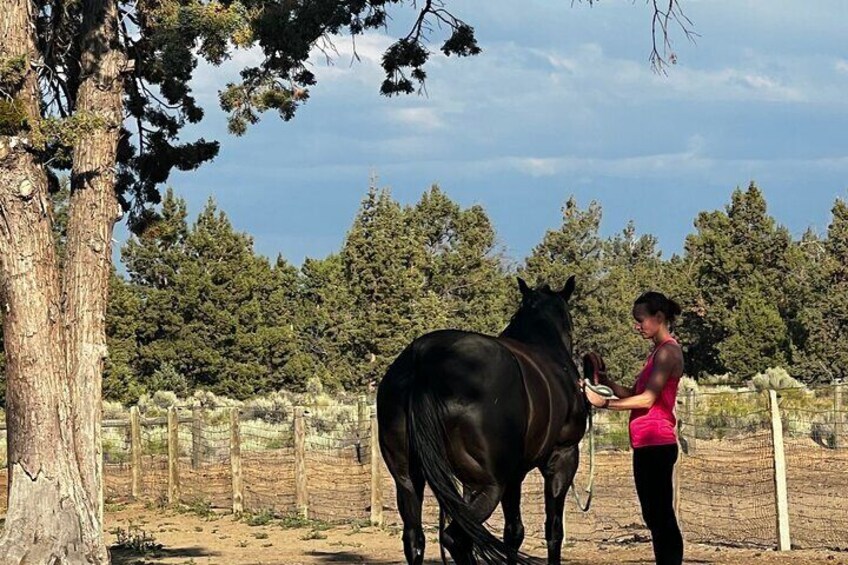 1.5 Hours Private Meditations with the Horses in Oregon