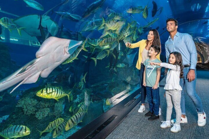 At the Top, Burj Khalifa + Dubai Aquarium Combo Ticket