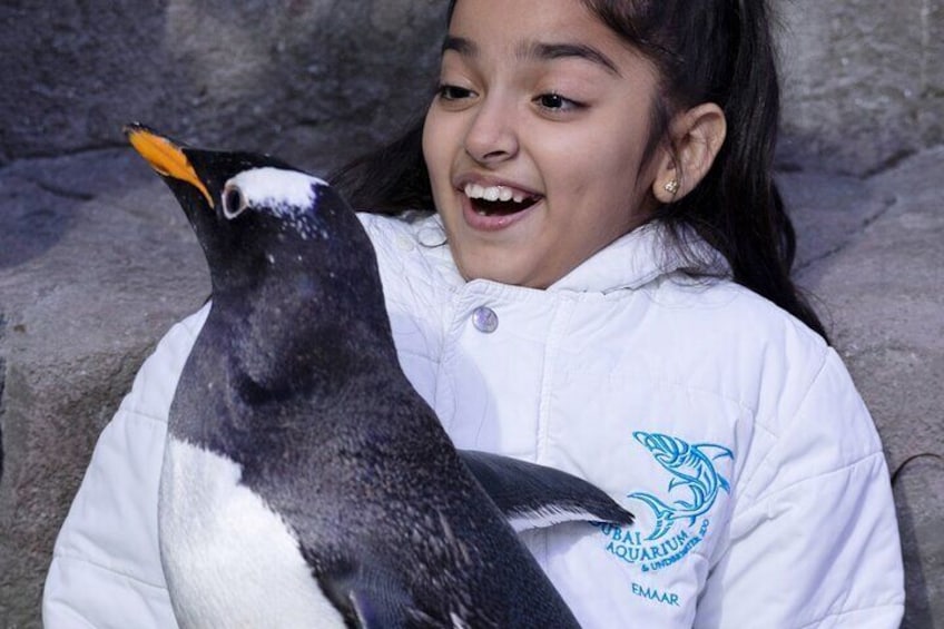 At the Top, Burj Khalifa + Dubai Aquarium Combo Ticket