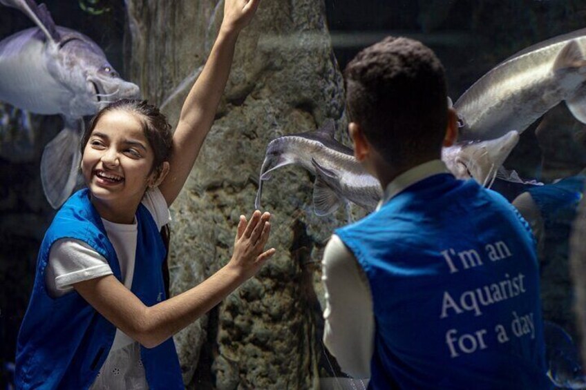 At the Top, Burj Khalifa + Dubai Aquarium Combo Ticket