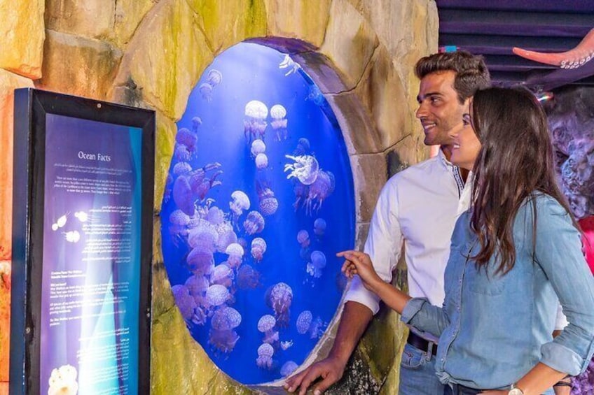 At the Top, Burj Khalifa + Dubai Aquarium Combo Ticket