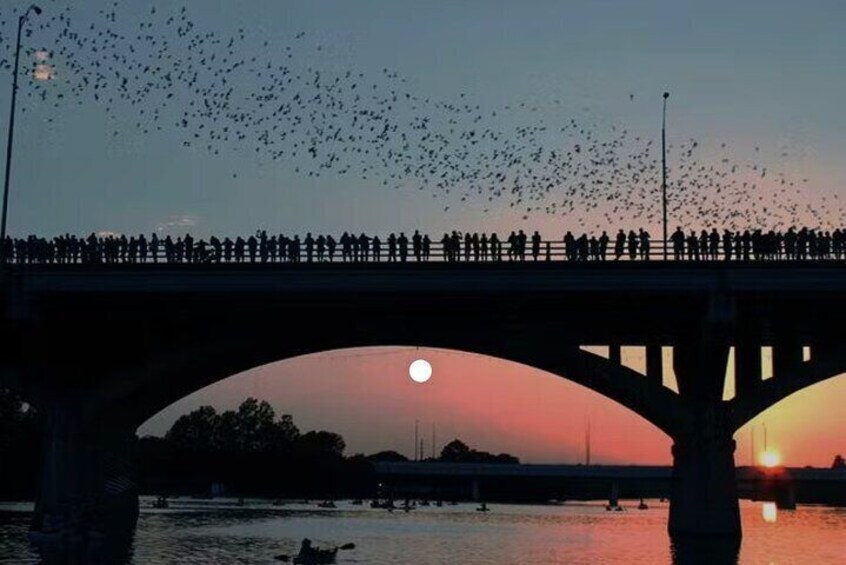 Congress Avenue Bat Bridge Paddle board Tour with Austin Skyline
