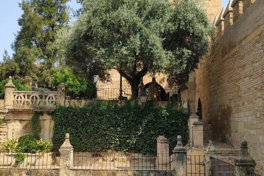 Walking Tours in Alcazar de los Reyes Católicos