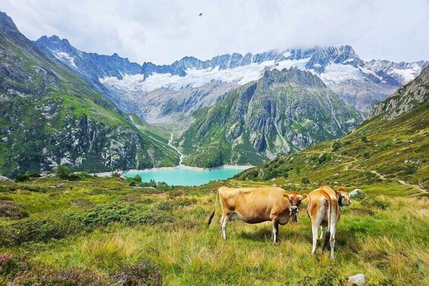 Göscheneralpsee Tour