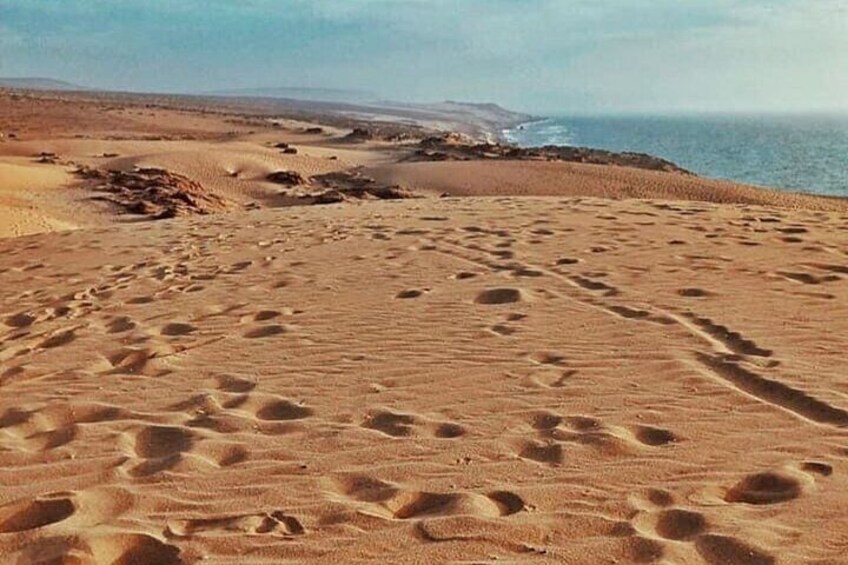 Sandboarding Agadir