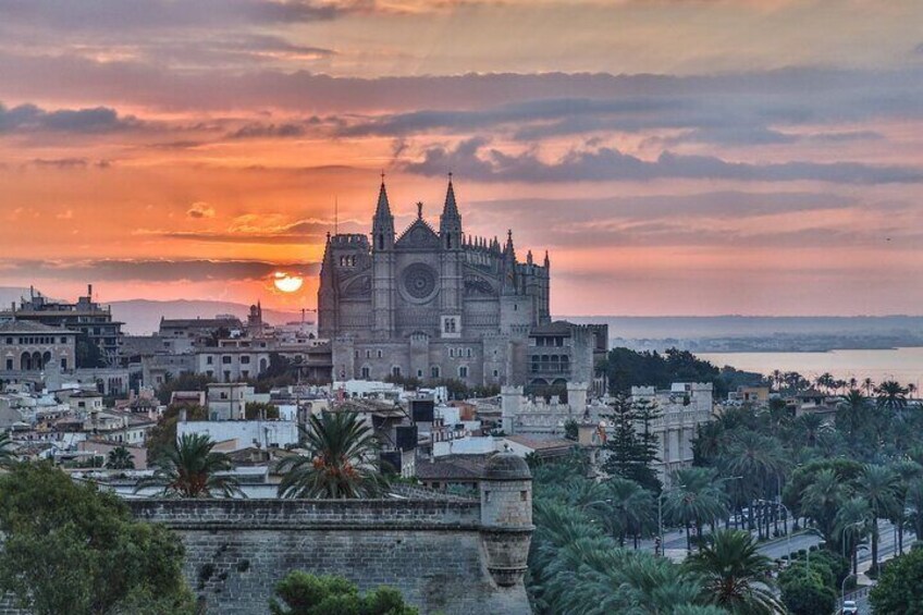 Palma de Mallorca : Private Custom Walking Tour with A Guide 