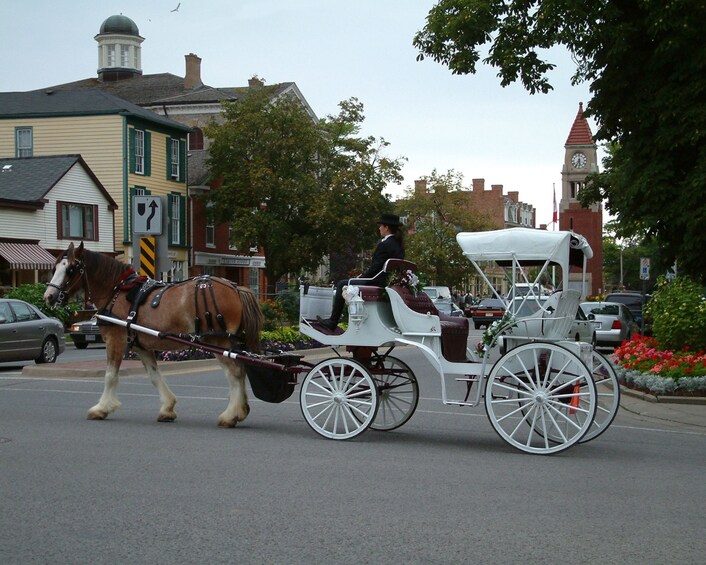 GrayLine: Niagara Falls Day Tour From Toronto (2A)