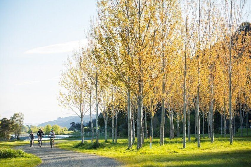 From Source to Sea eBike Remutaka Cycle Tour