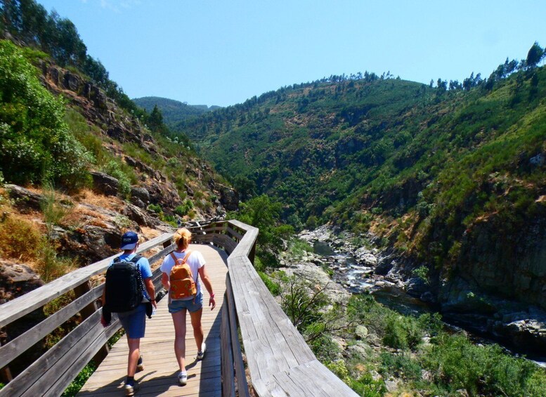 Picture 9 for Activity From Porto: 516 Arouca Bridge and Paiva Walkways Guided Tour