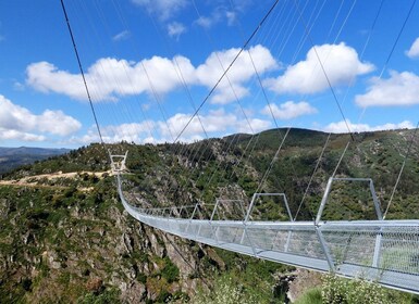 Desde Oporto: visita guiada por el puente 516 de Arouca y las pasarelas del...