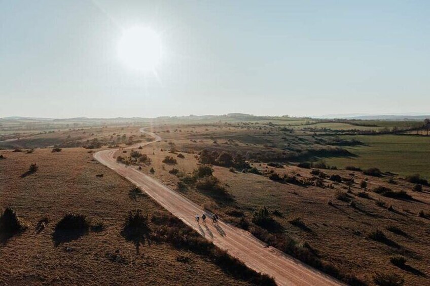 Tracks as far as the eye can see
