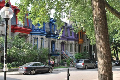Montreal: Full-Day Small Group City Tour