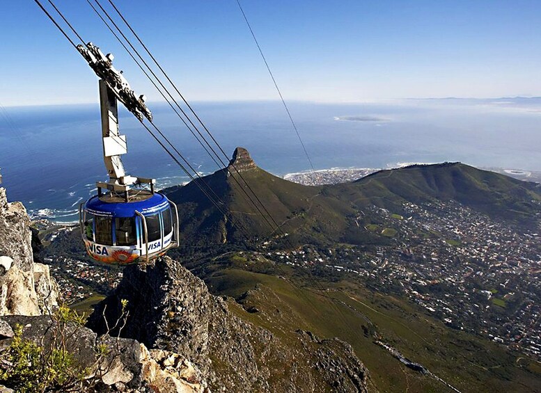 Picture 8 for Activity Table Mountain, Boulder's Penguins & Cape Point Private Tour