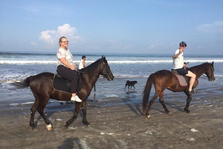 Experience Horse Riding with Luxury Spa 